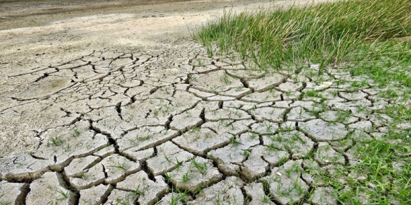 Imagem Portal da Unicamp: A comunicação da emergência climática