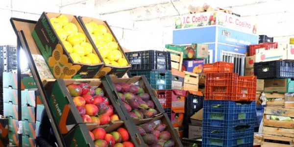 Imagem: Pesquisadores buscam estratégias para evitar desperdício