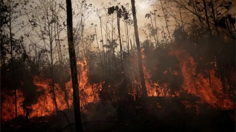 Imagem G1: Fogo, seca e corte seletivo degradam 38% da Amazônia, e pesquisador cobra esforço global para salvar floresta