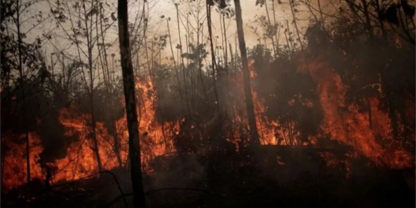 Imagem G1: Fogo, seca e corte seletivo degradam 38% da Amazônia, e pesquisador cobra esforço global para salvar floresta