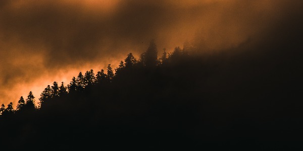 Imagem: Estamos perto do ponto de não retorno da Amazônia?