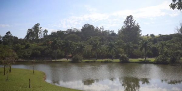 Imagem A Cidade On: Semana começa com temperaturas em elevação em Campinas