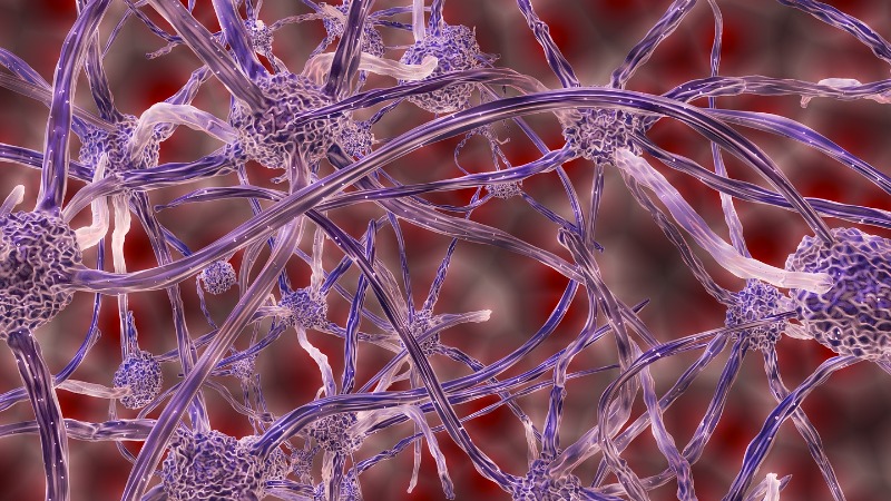 Imagem Viva Bem - Uol: Estudo ajuda a entender como os neurônios regulam a produção de proteína