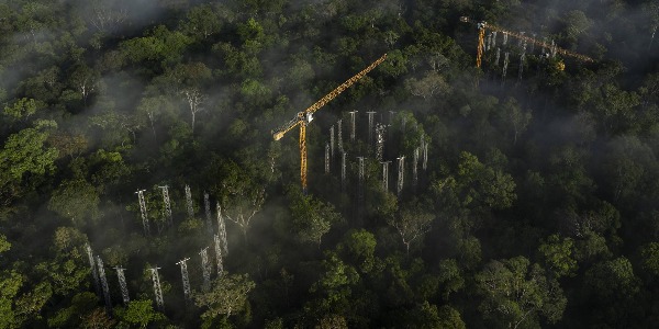 Imagem Torres gigantes vão injetar CO2 na amazônia em megaexperimento inédito