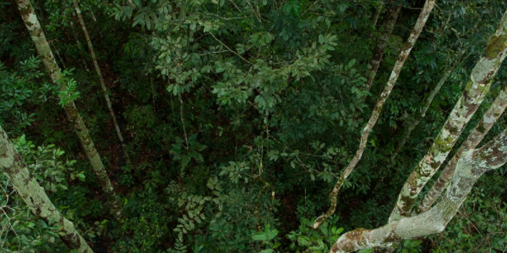 Imagem "Perspectivas sobre Mudanças Climáticas: modelagem, experimento e negociações globais"