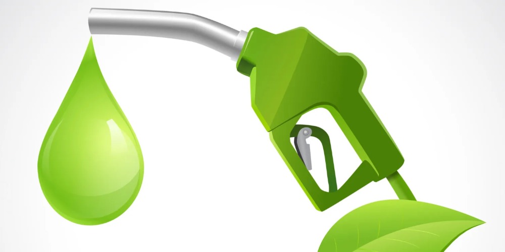 Imagem Comemoração dos 50 Anos do Proalcoll