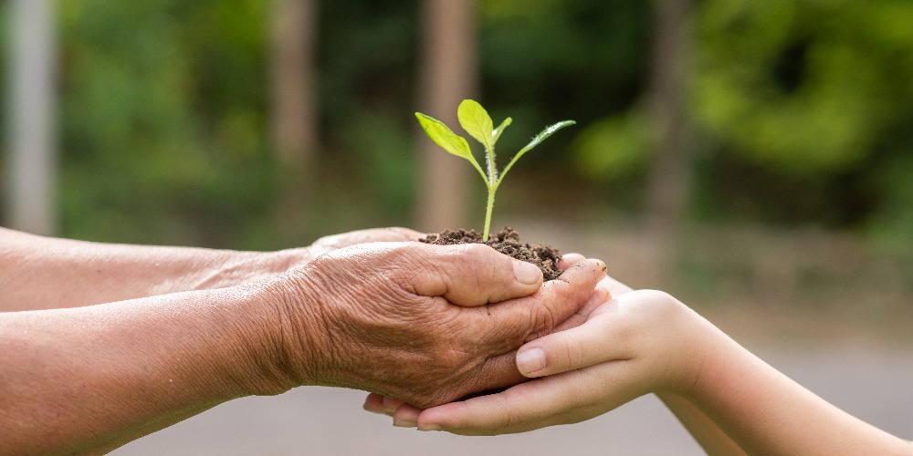 Imagem Sobrevivência no planeta: COP 30, o futuro do meio ambiente e o combate às mudanças climáticas