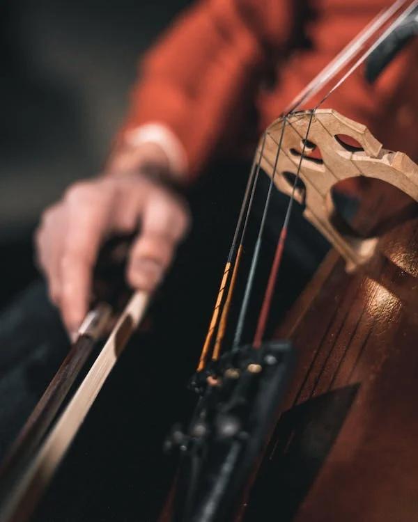 Imagem Orquestra Sinfônica da Unicamp apresenta concerto de cordas com obras de Tchaikovsky e Bach