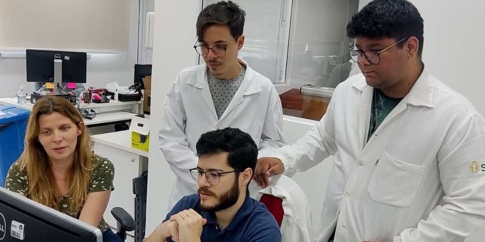 Imagem Estudo avança na identificação de compostos que ativam proteína-chave para a "reciclagem celular"