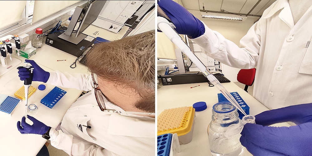 Imagem: A descoberta de fármacos baseada em fragmentos já é utilizada no Brasil, mas a associação de cromatografia líquida com espectrometria de massa ainda é inédita