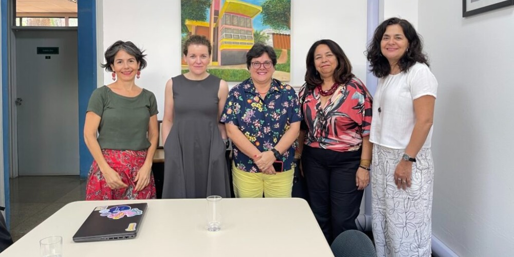 Imagem Explorando Sinergias: NEPO, PAGU e CESOP da Unicamp em Encontros com Universidade de Leiden