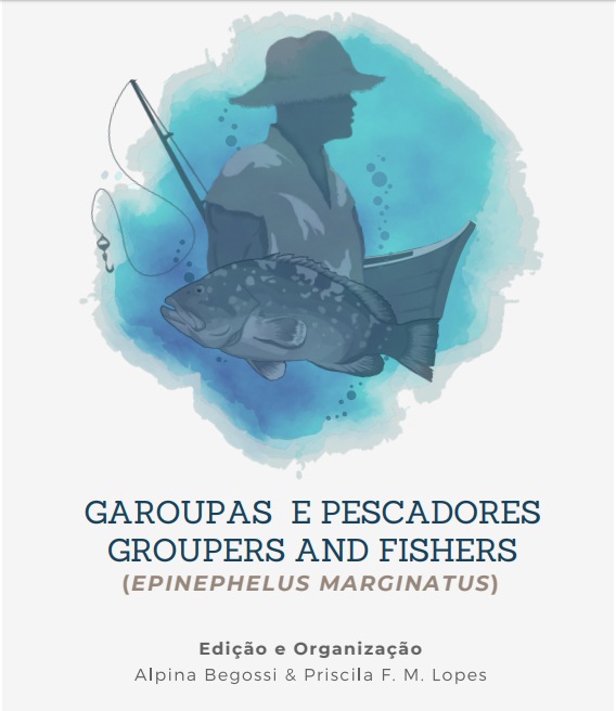 Imagem E-book: Garoupas e Pescadores