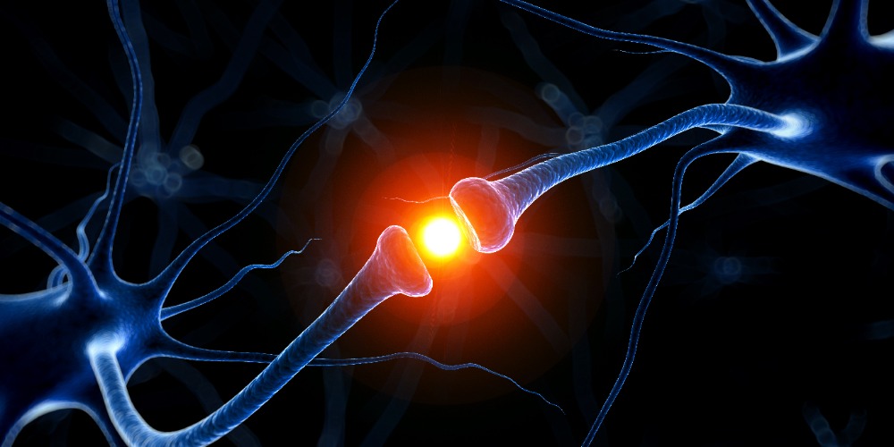Imagem Linhagens do Cemib contribuem para reprodutibilidade da pesquisa científica mundial