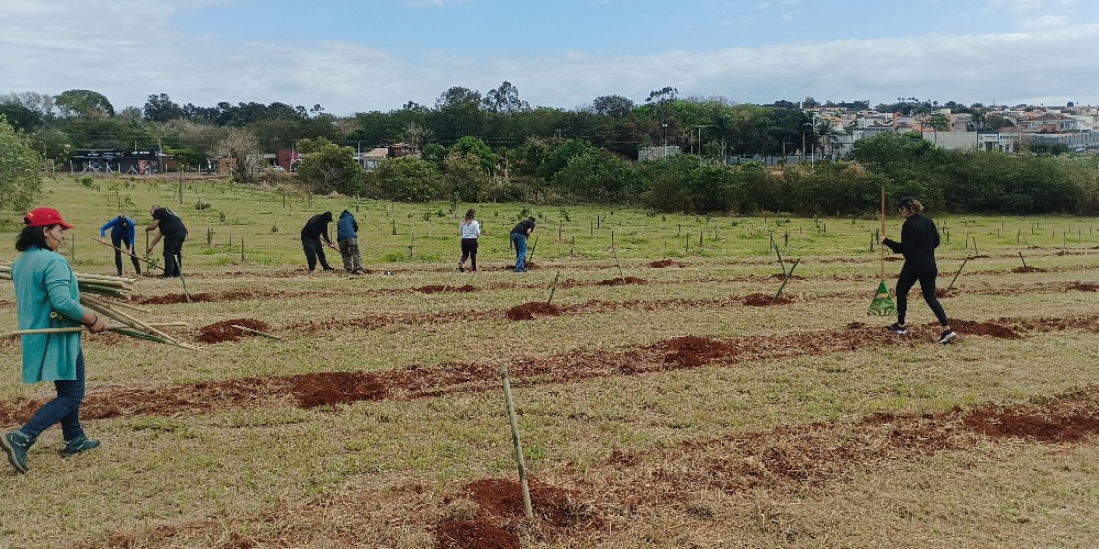 Imagem CPQBA avança com mutirões de reflorestamento em campo experimental