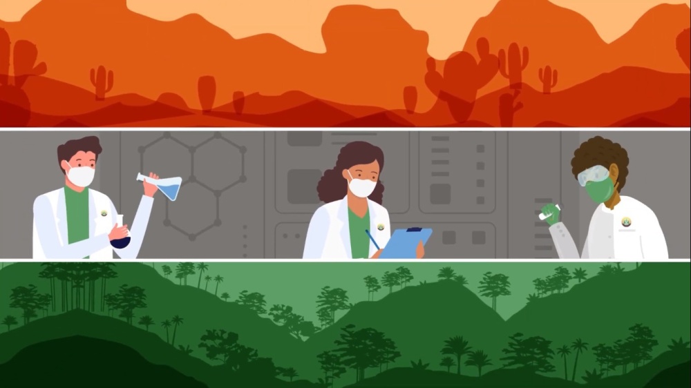 Imagem Centro de pesquisa da Unicamp lança animação sobre o papel dos microbiomas